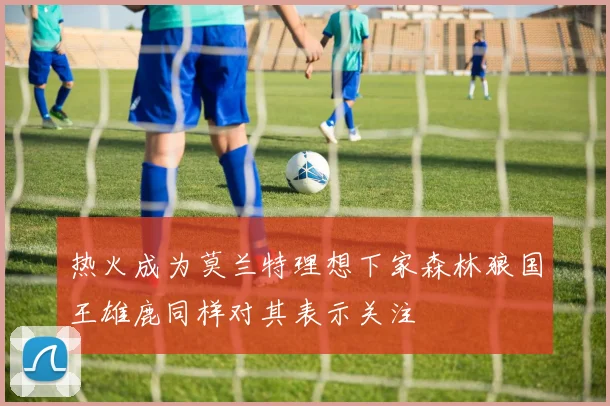 热火成为莫兰特理想下家森林狼国王雄鹿同样对其表示关注